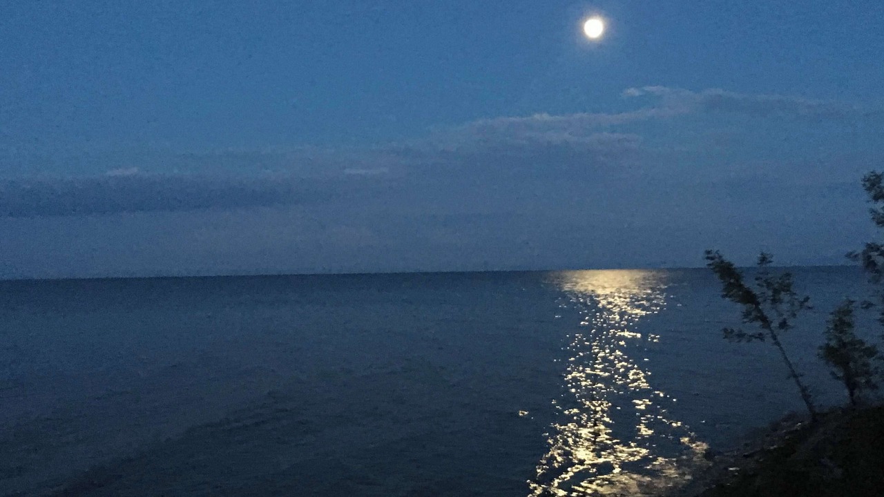 Photo of Others in Harbor Beach