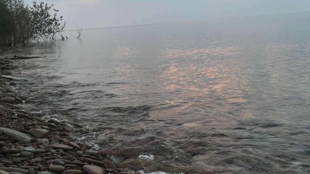 Photo of Others in Harbor Beach