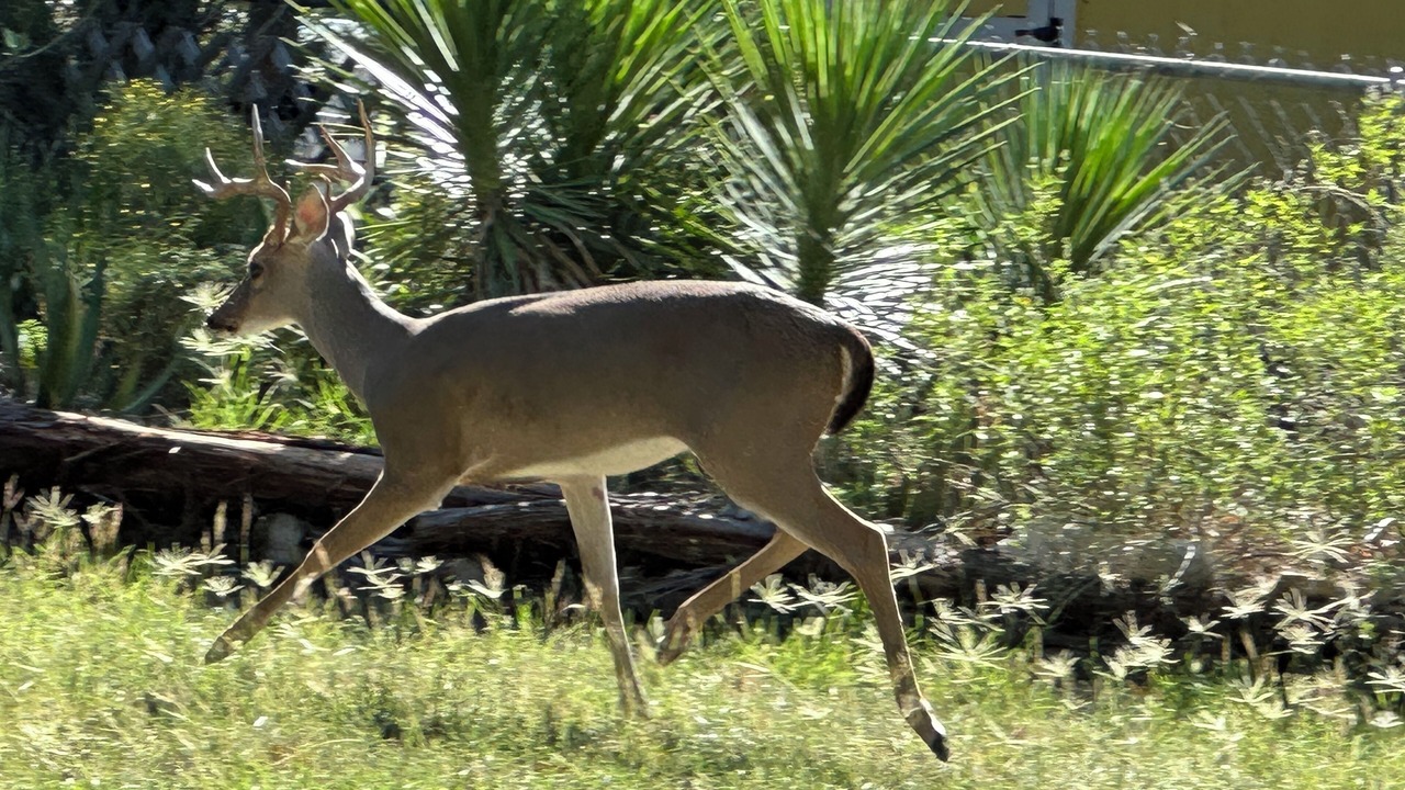 Photo of Others in Granite Shoals