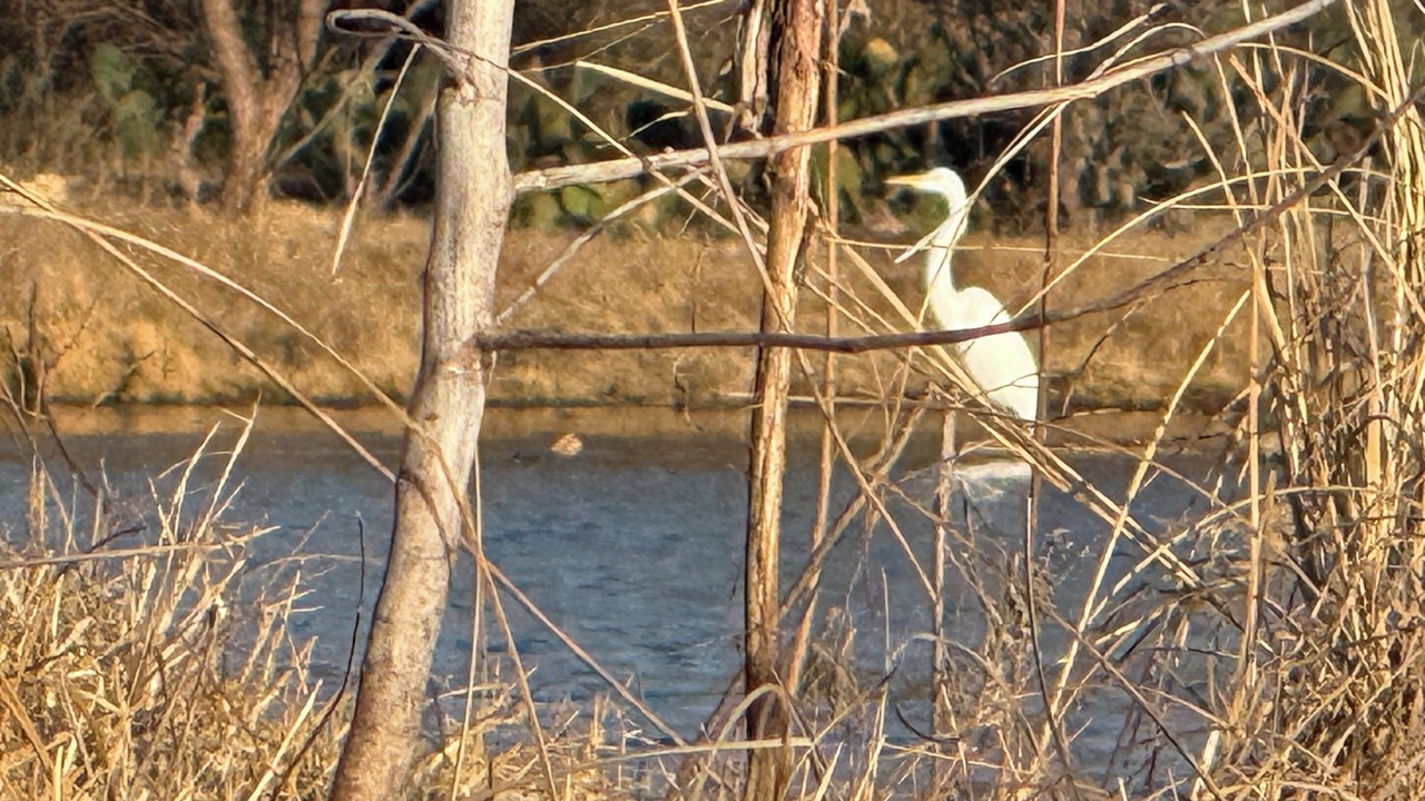 Photo of Others in Granite Shoals
