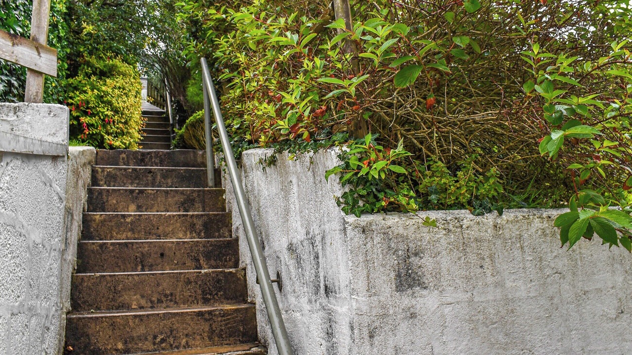 Photo of Others in Perranporth