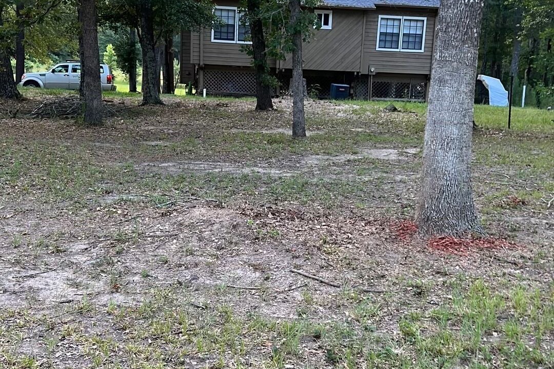 Photo of Outdoor in Oakhurst
