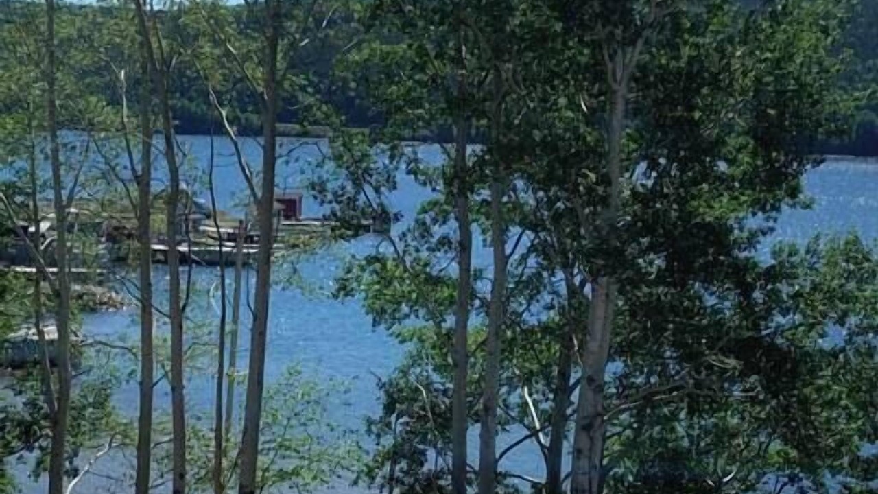 Photo of Others in King's Point