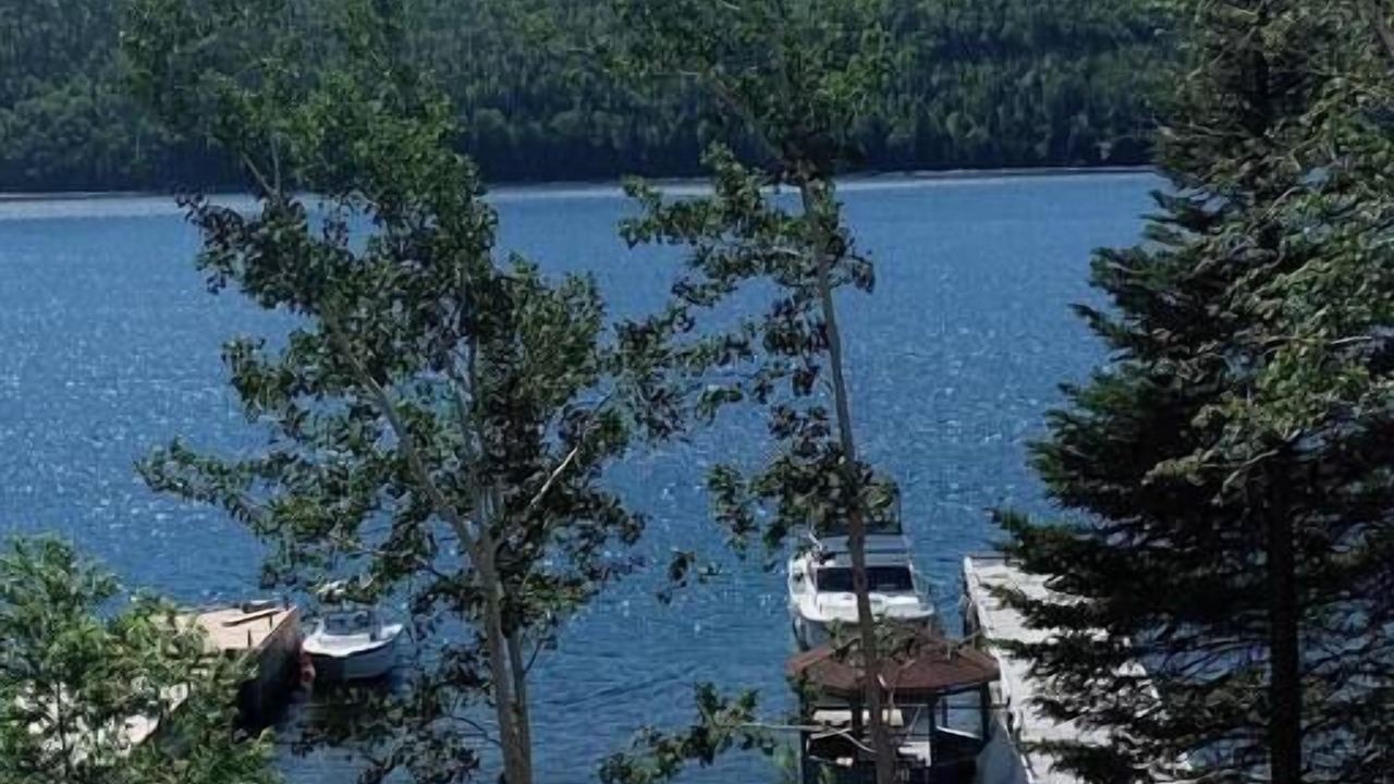 Photo of Others in King's Point