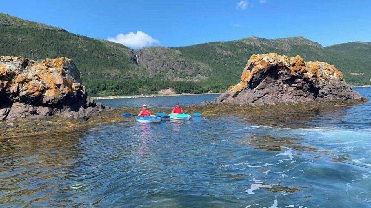 Photo of Others in King's Point