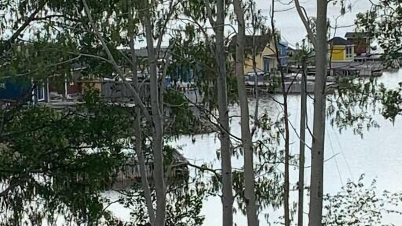 Photo of Others in King's Point