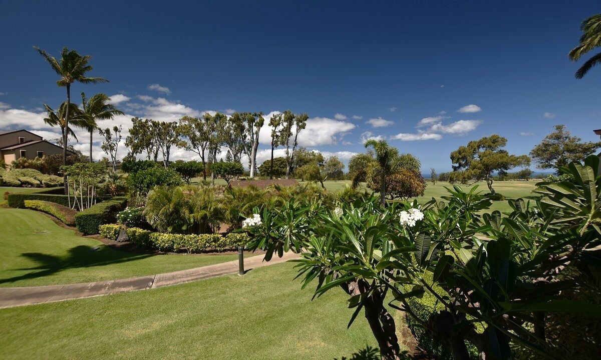 Photo of Others in Waikoloa Village