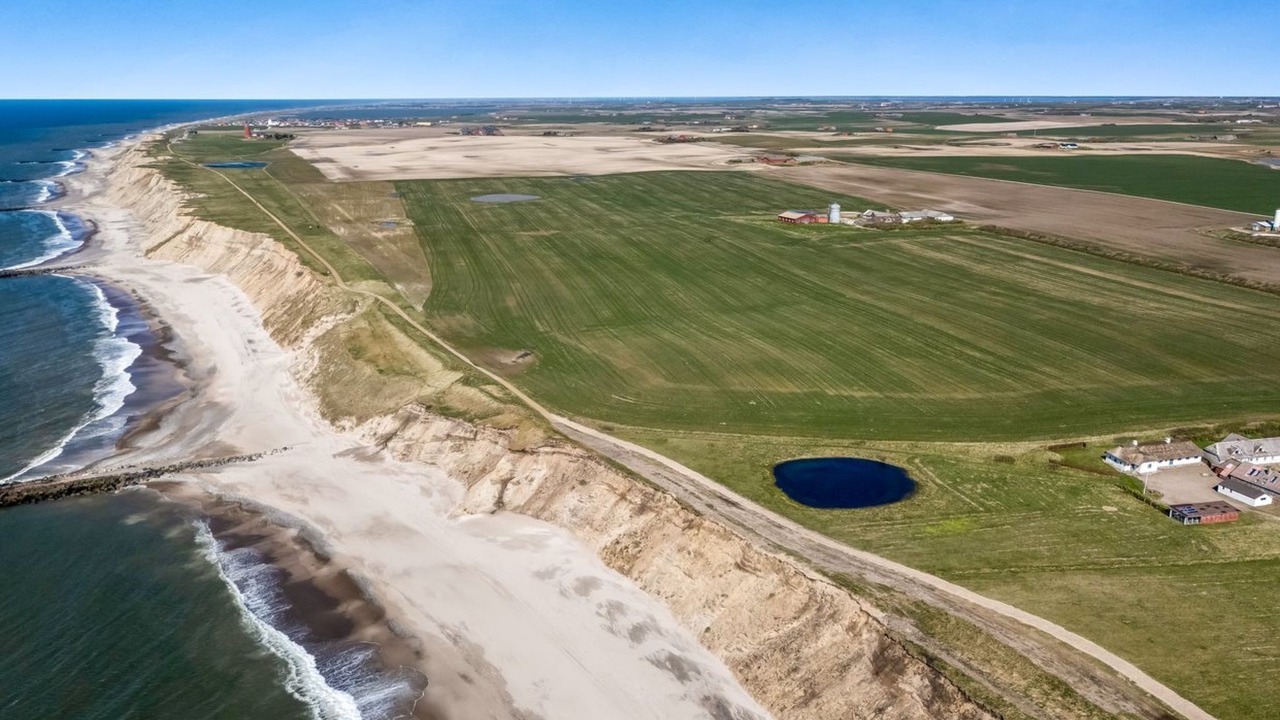 Photo of Others in Trans