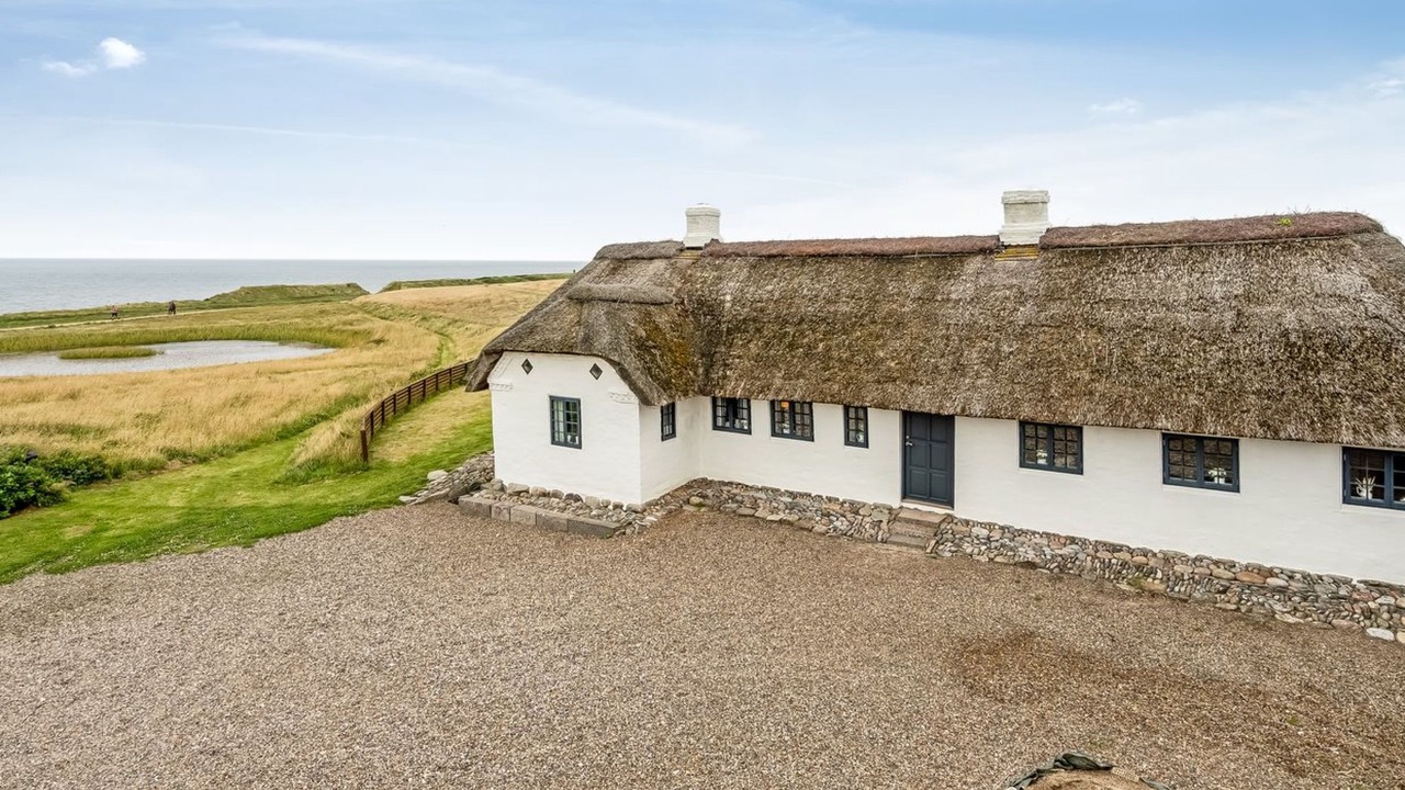 Photo of Others in Trans