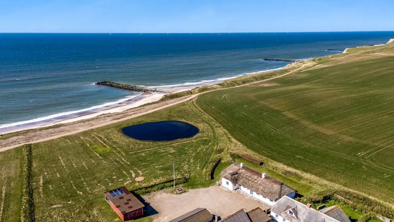 Photo of Others in Trans