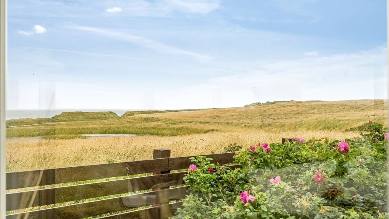 Photo of Others in Trans