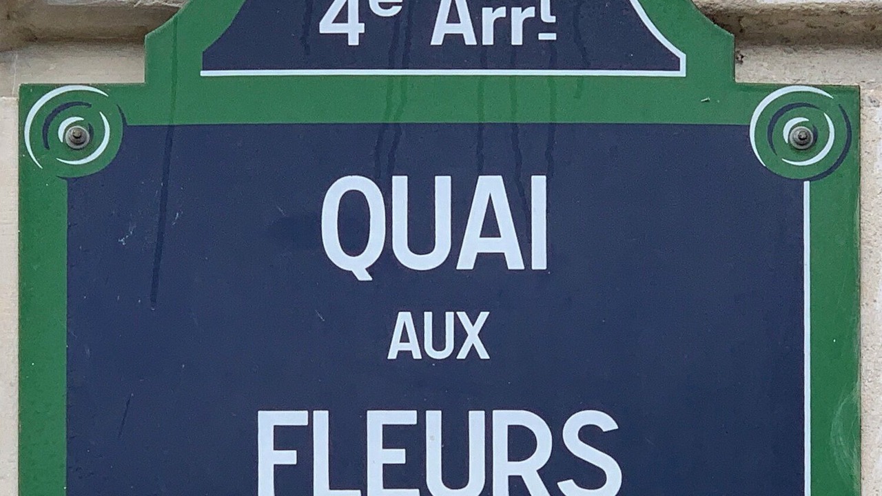 Photo of Outdoor in Notre Dame