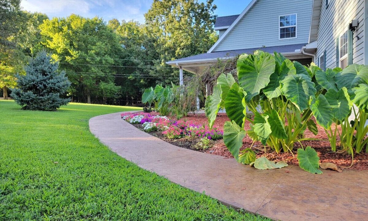 Photo of Outdoor in Powell