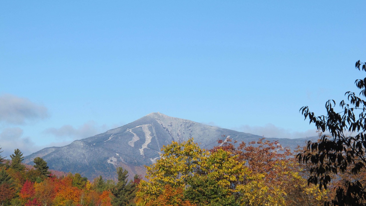 Photo of Outdoor in Jay