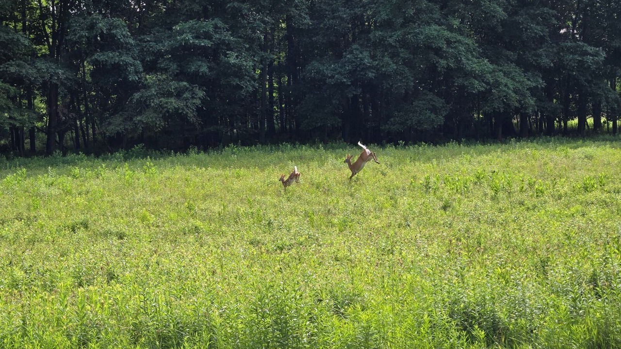 Photo of Others in Munson