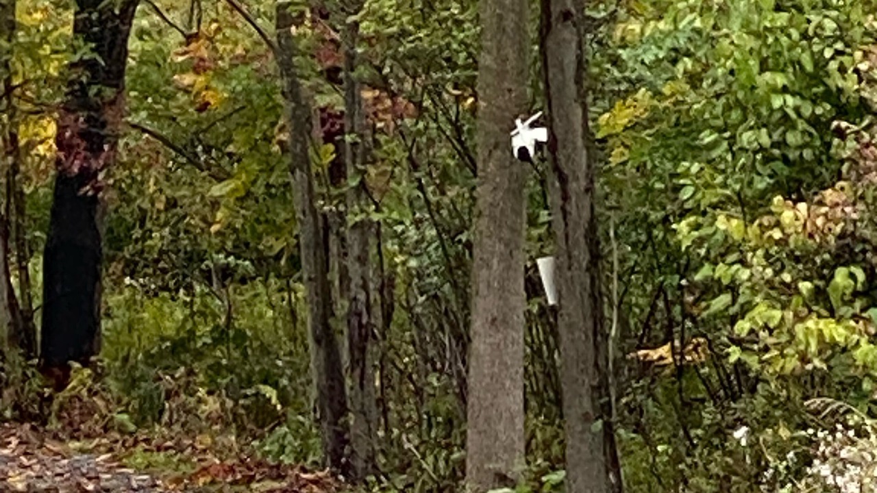 Photo of Others in Munson