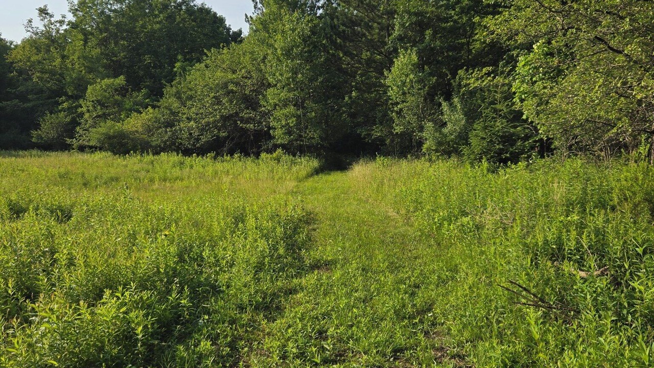 Photo of Others in Munson
