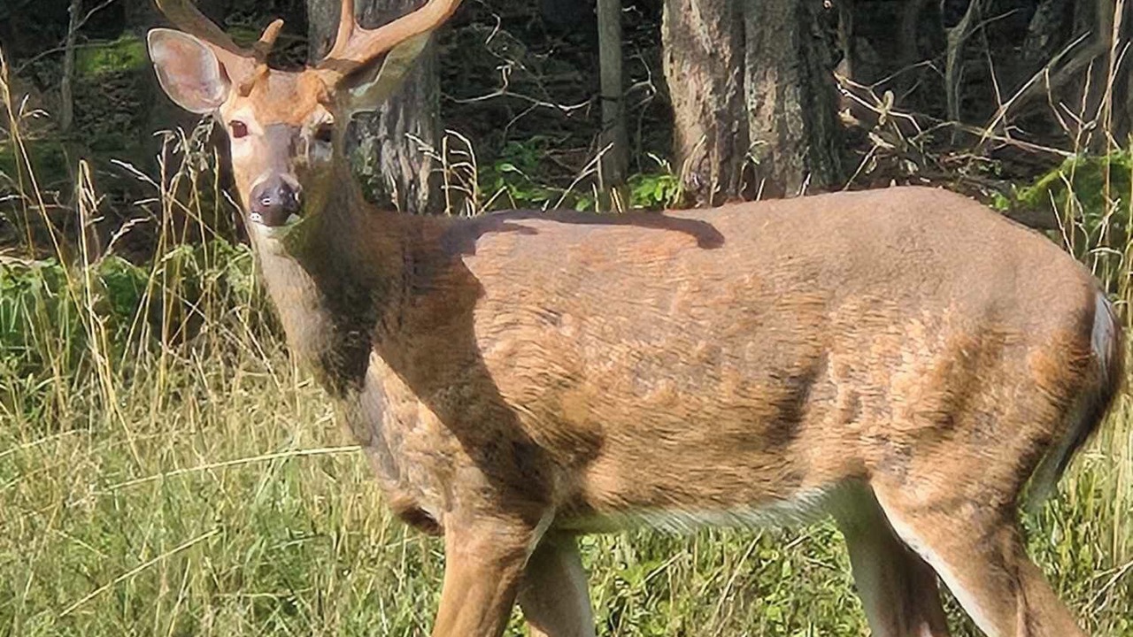 Photo of Others in Munson