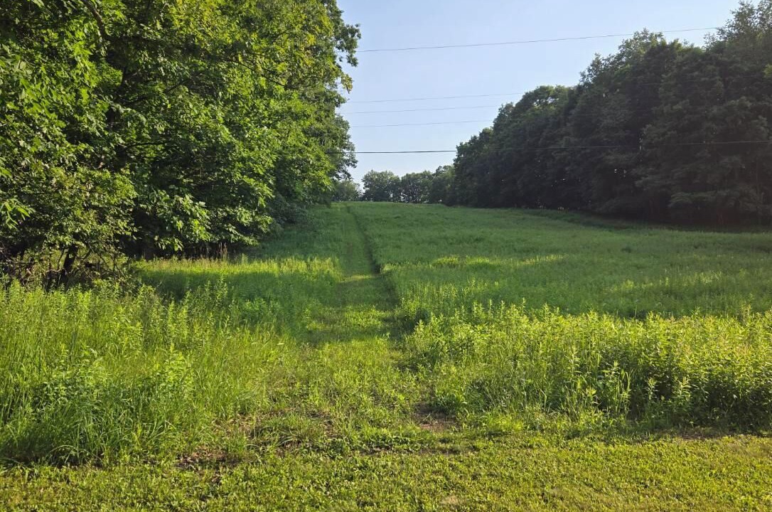Photo of Others in Munson