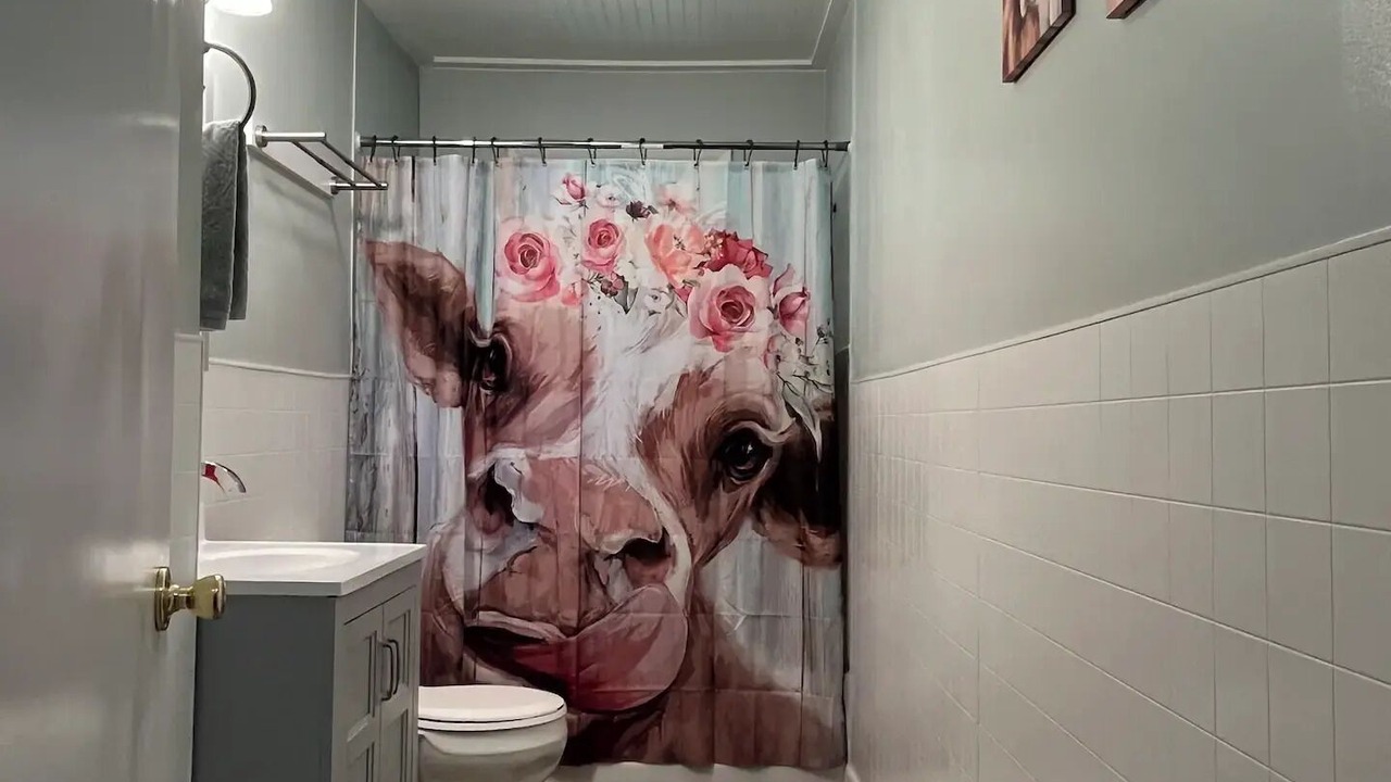 Photo of Bathroom in Mouth of Wilson
