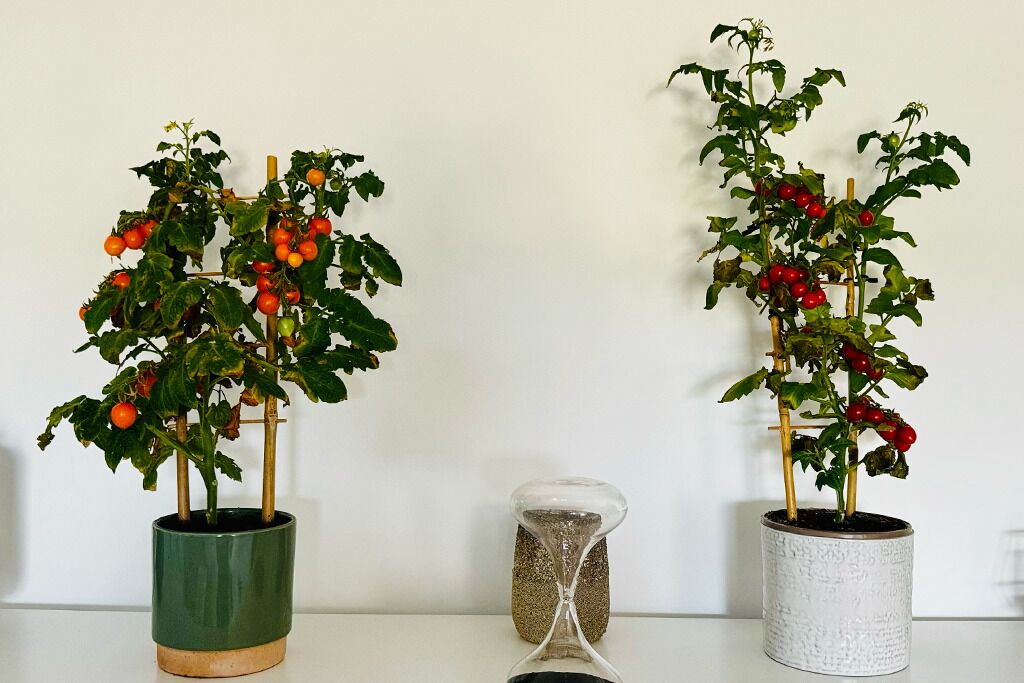 Photo of Others in Corbeil-Essonnes