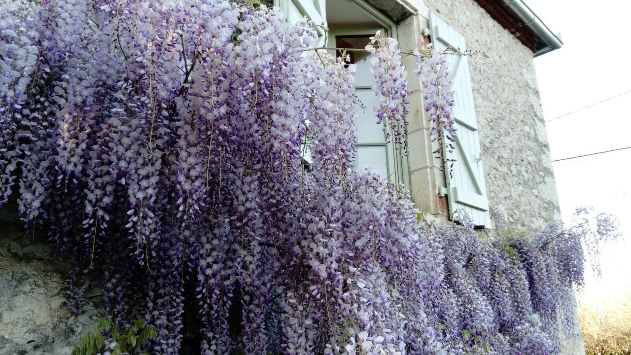 Photo of Outdoor in Creysse