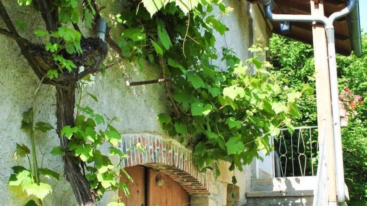 Photo of Outdoor in Reyrevignes