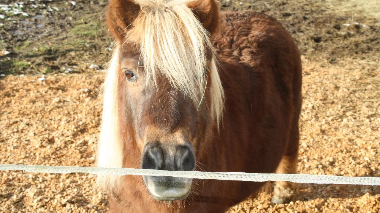 Photo of Others in Aynac