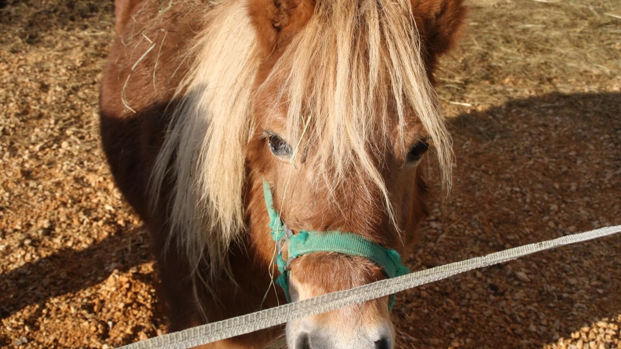 Photo of Others in Aynac
