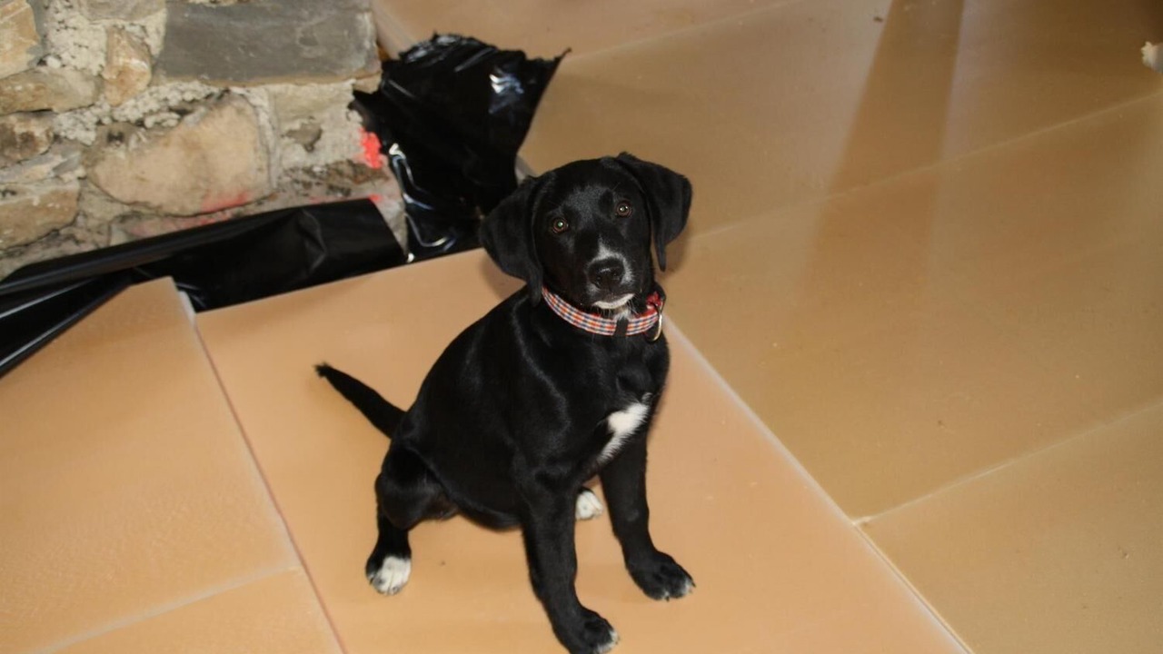 Photo of Others in Aynac