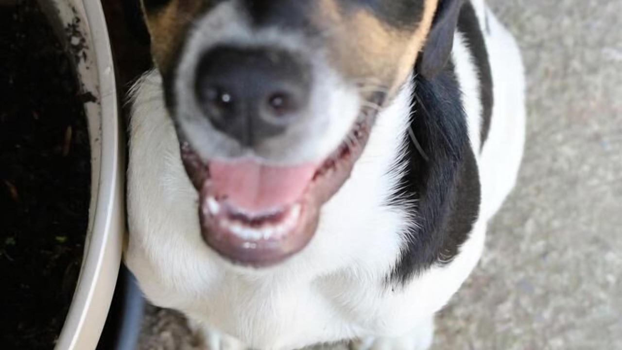 Photo of Others in Aynac