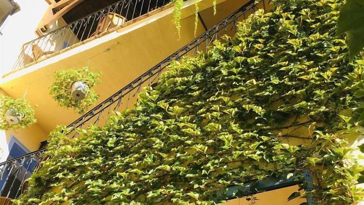 Photo of Outdoor in Cahors Old Town