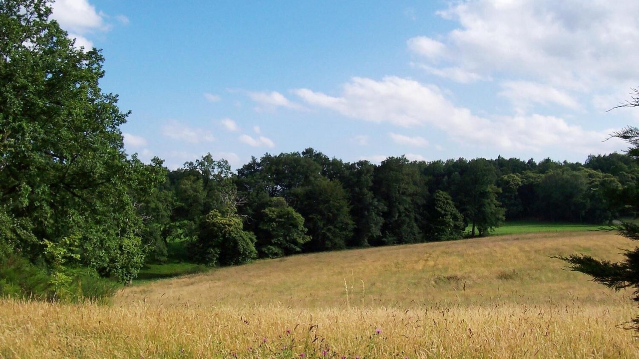 Photo of Others in Sousceyrac