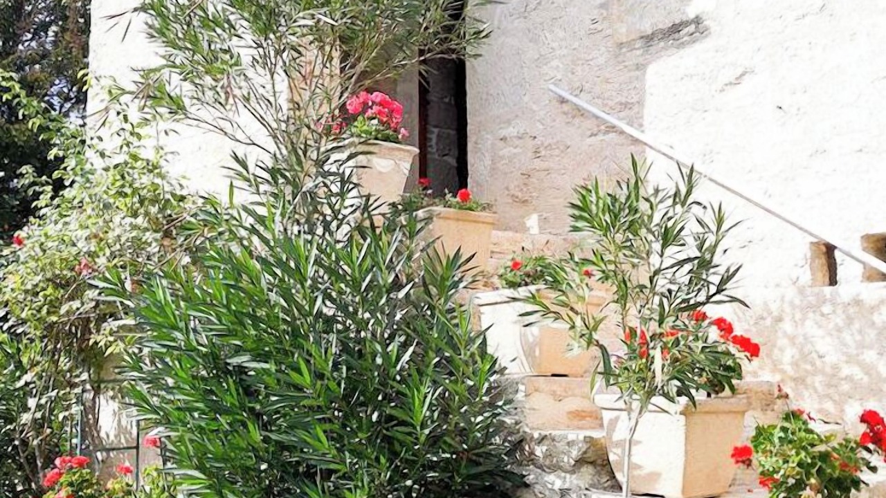 Photo of Outdoor in Labastide-Marnhac