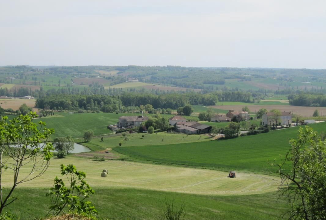 Photo of Others in Castelnau-Montratier-Sainte-Alauzie