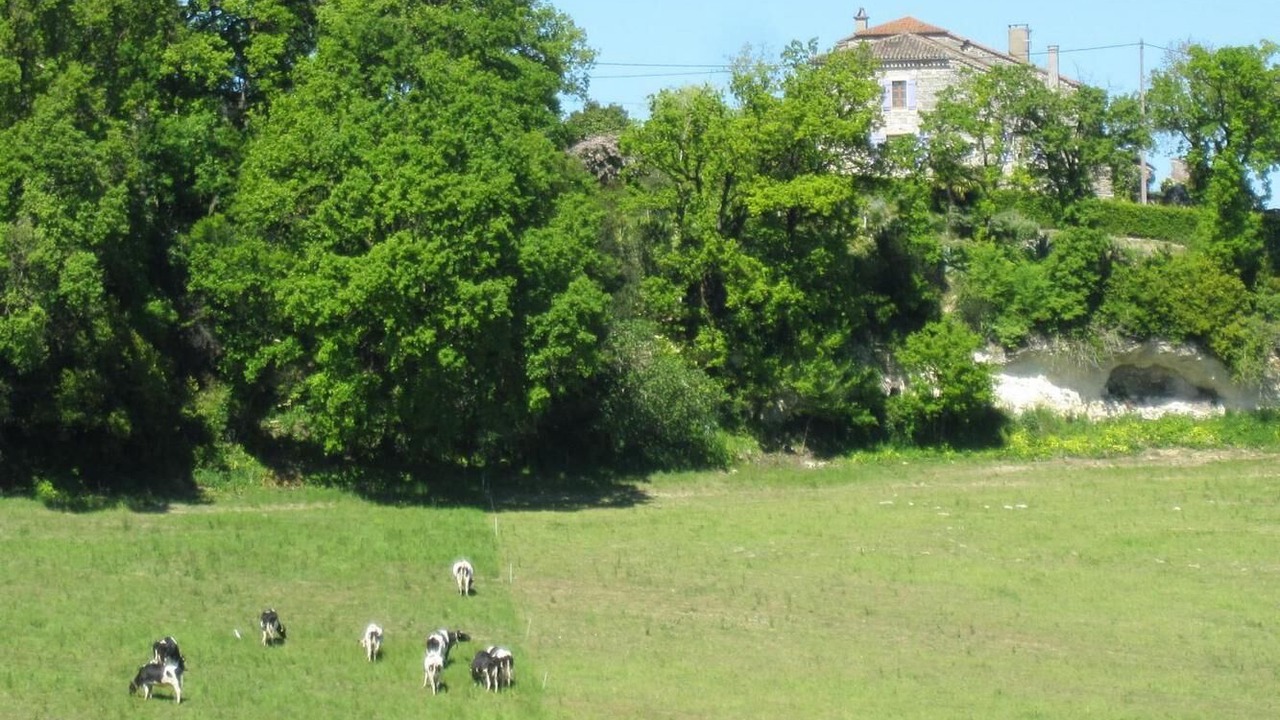 Photo of Others in Castelnau-Montratier-Sainte-Alauzie