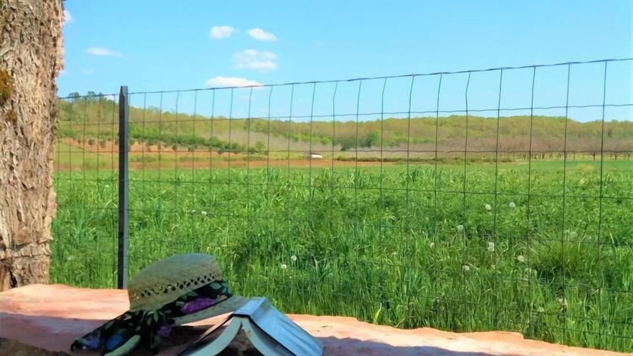 Photo of Outdoor in Condat