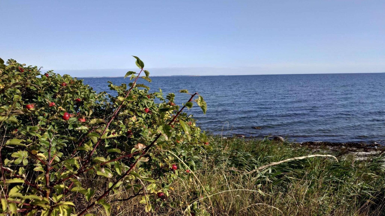 Photo of Others in Nordborg