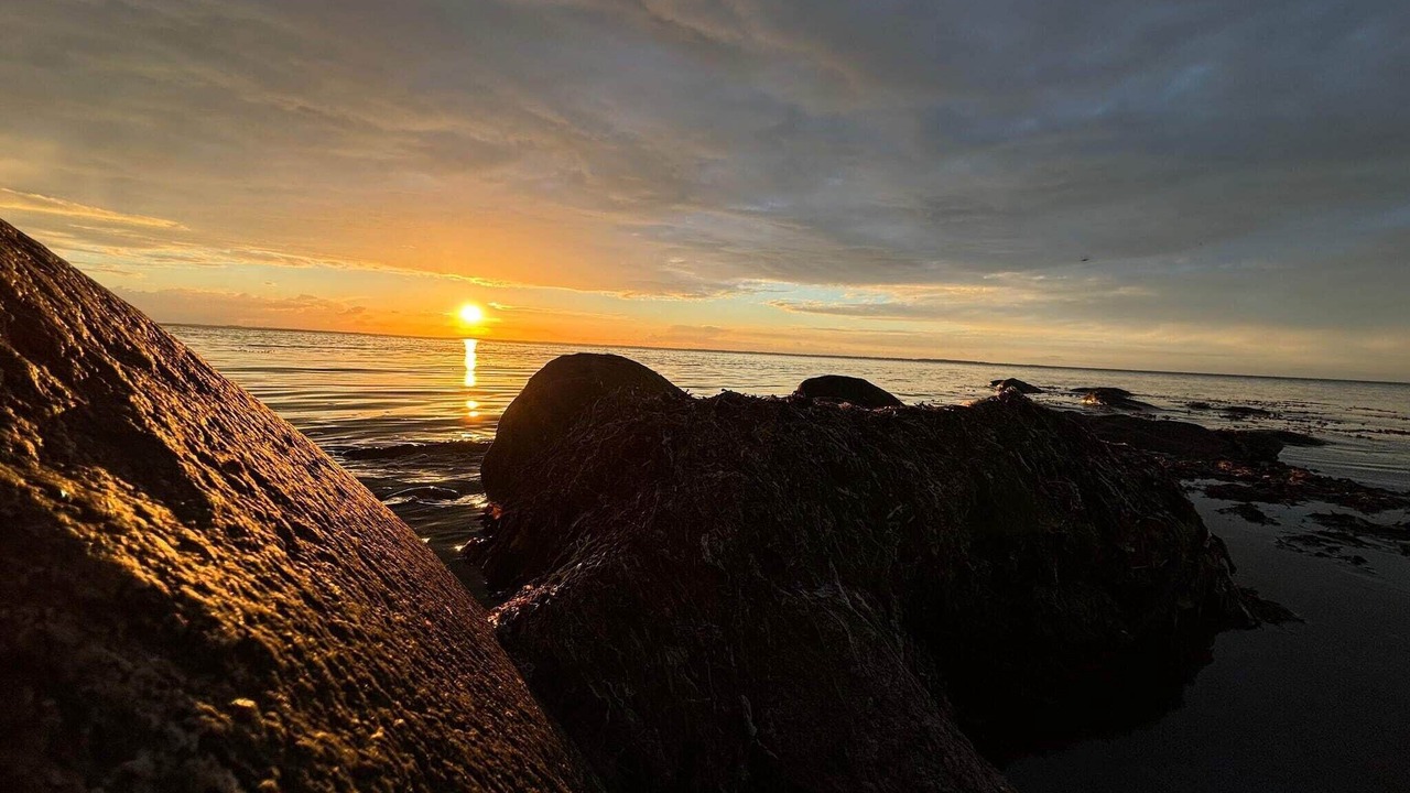 Photo of Others in Nordborg