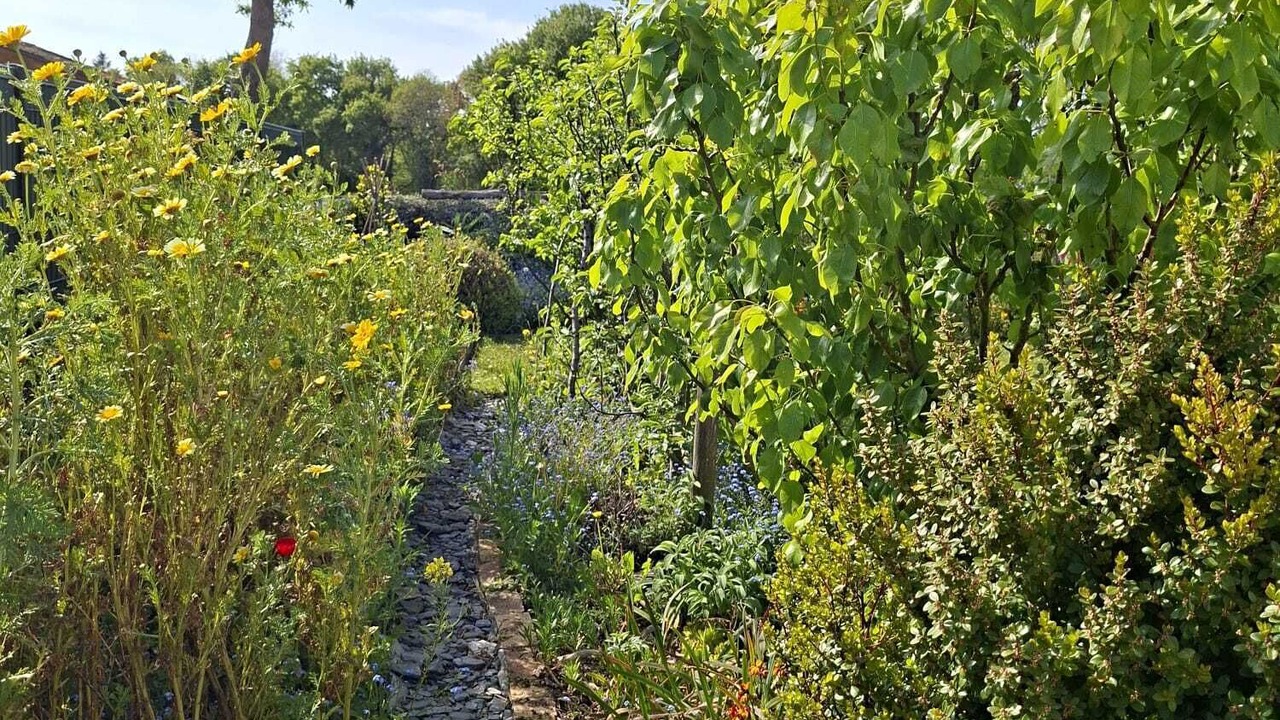 Photo of Outdoor in Lannion