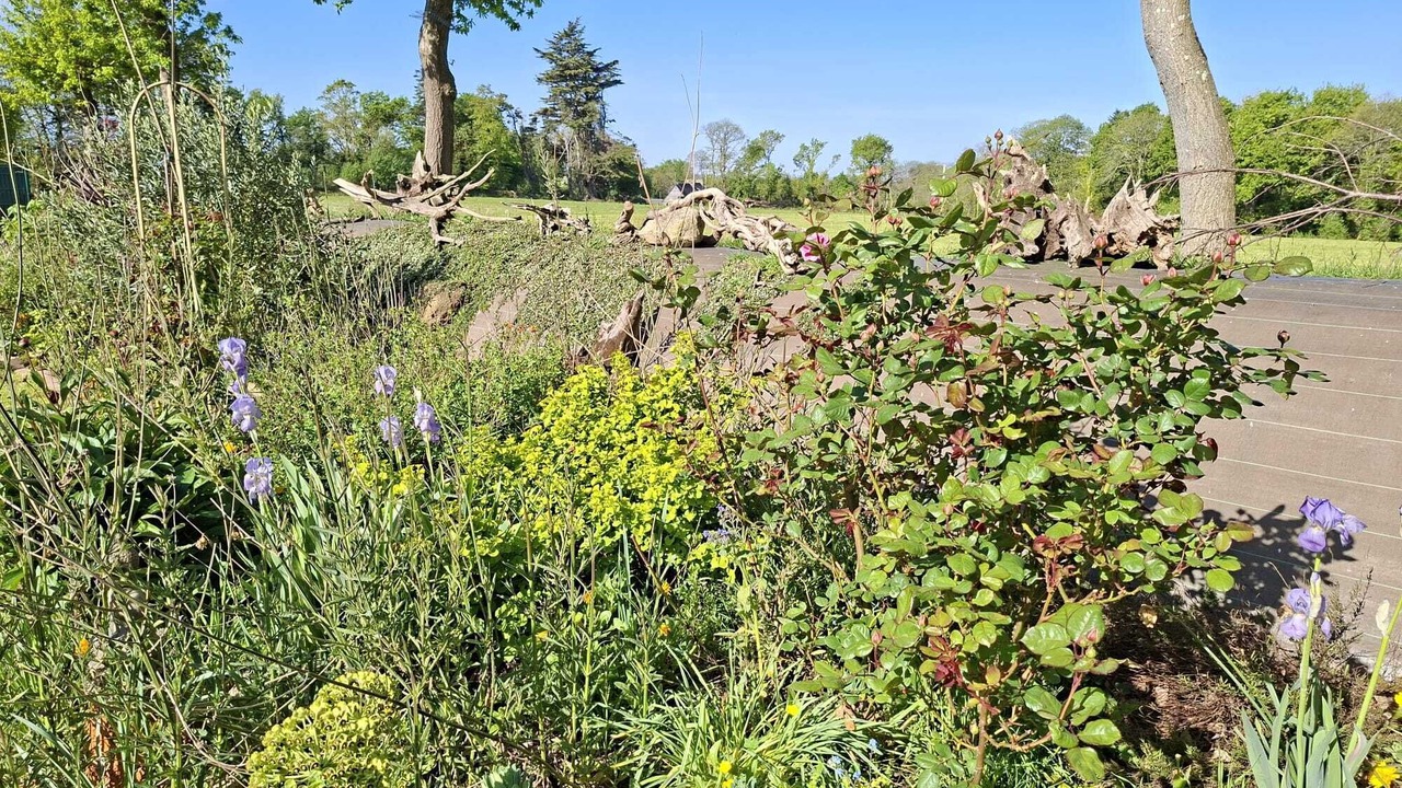 Photo of Outdoor in Lannion