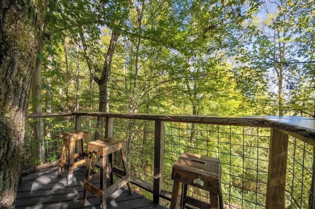 Photo of Outdoor in Flintstone