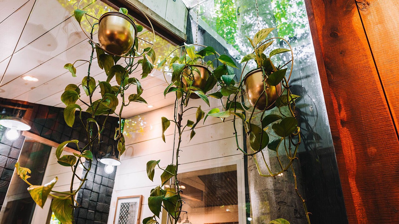 Photo of Others in Flintstone