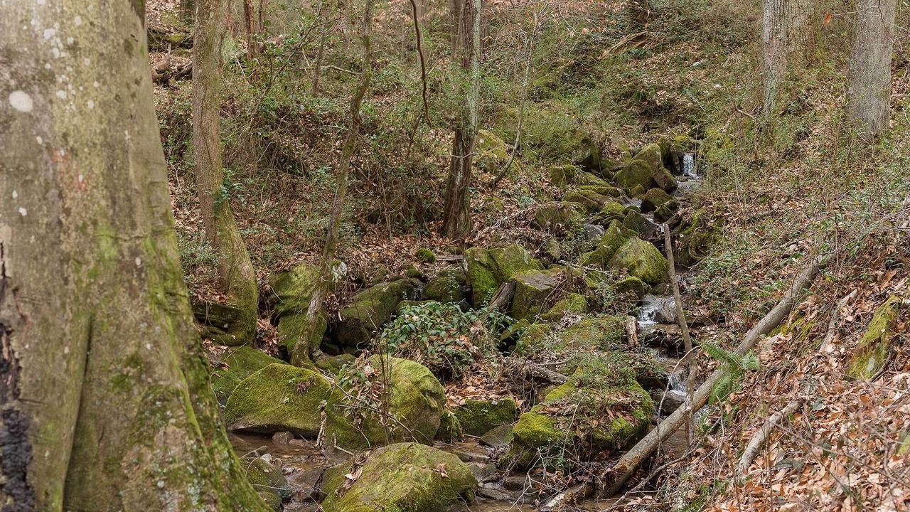 Photo of Others in Flintstone