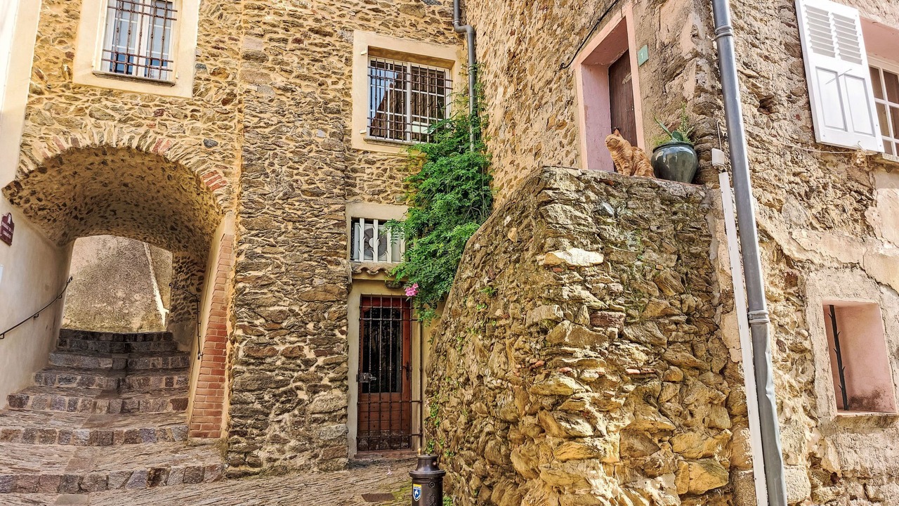 Photo of Others in Port Cogolin