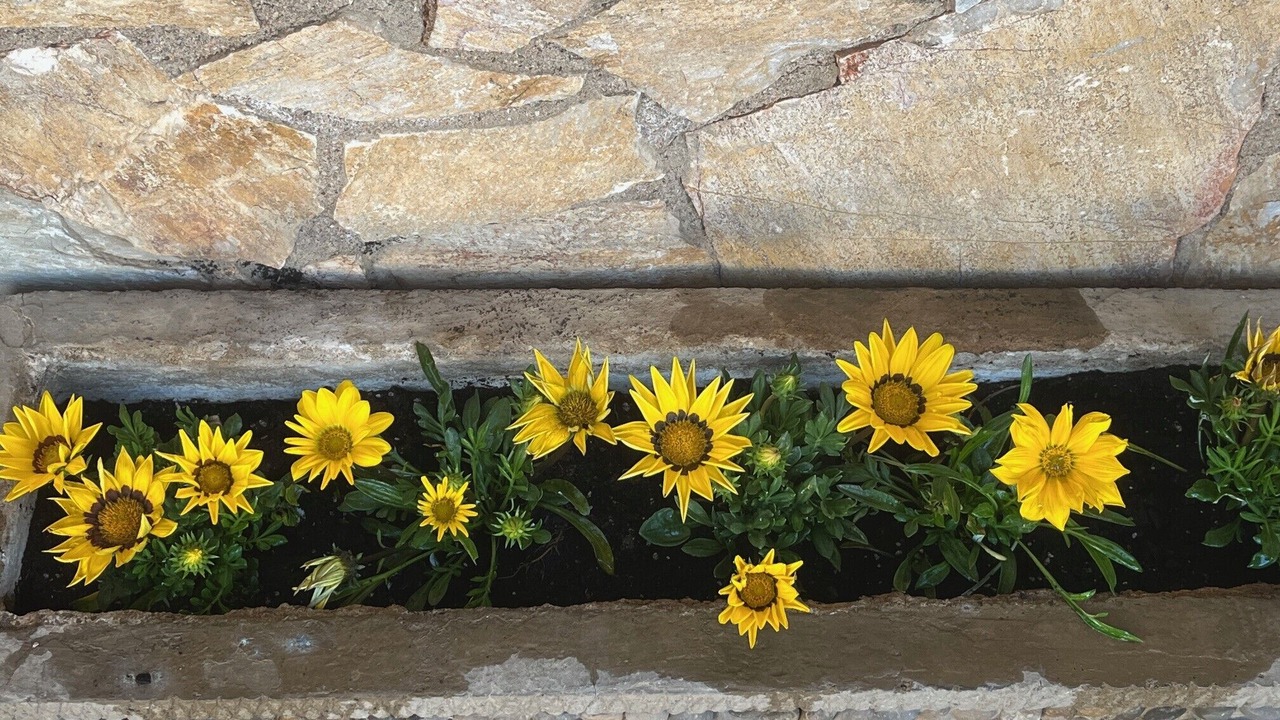 Photo of Outdoor in Les Planes d'Hostoles