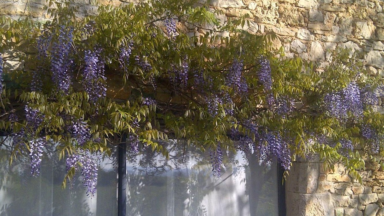 Photo of Outdoor in Fons
