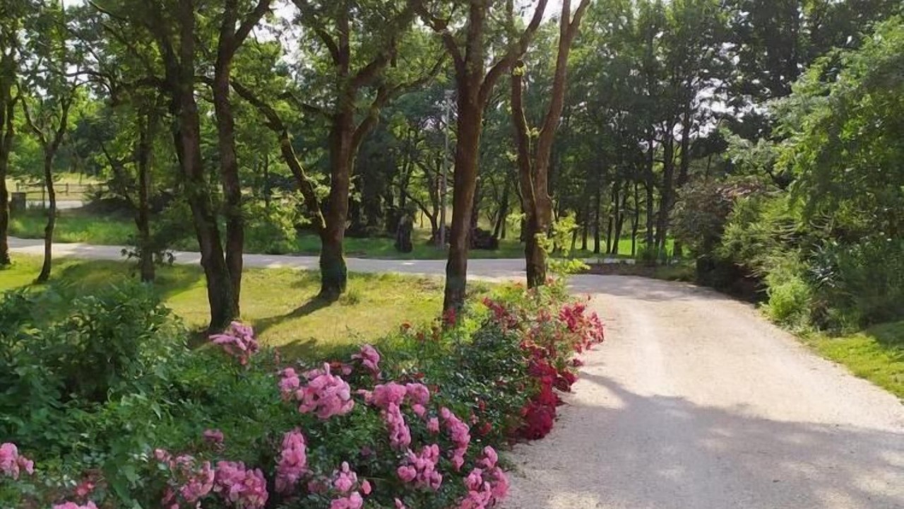 Photo of Outdoor in Gignac