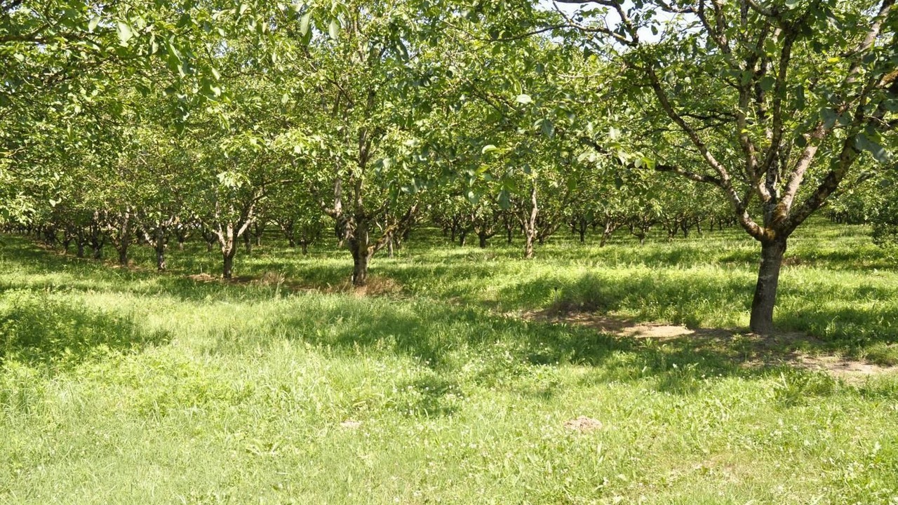 Photo of Others in Le Bougayrou