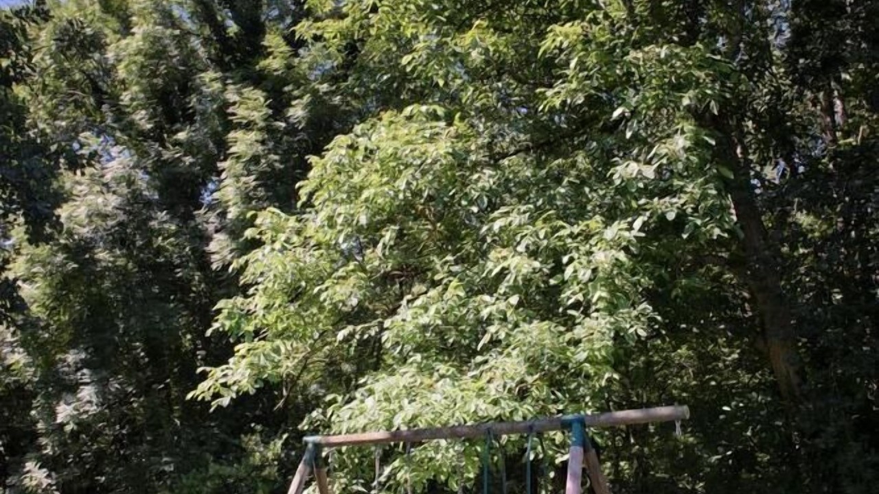 Photo of Others in Le Bougayrou